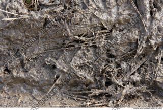 photo texture of soil mud